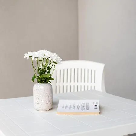 Apartamento And Vuleta, Close To The