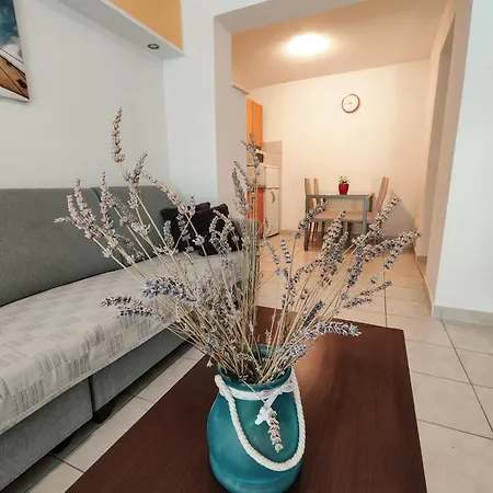 And Vuleta, Close To The Apartamento